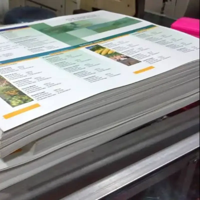 Print Dokumen Warna HVS 75Gsm